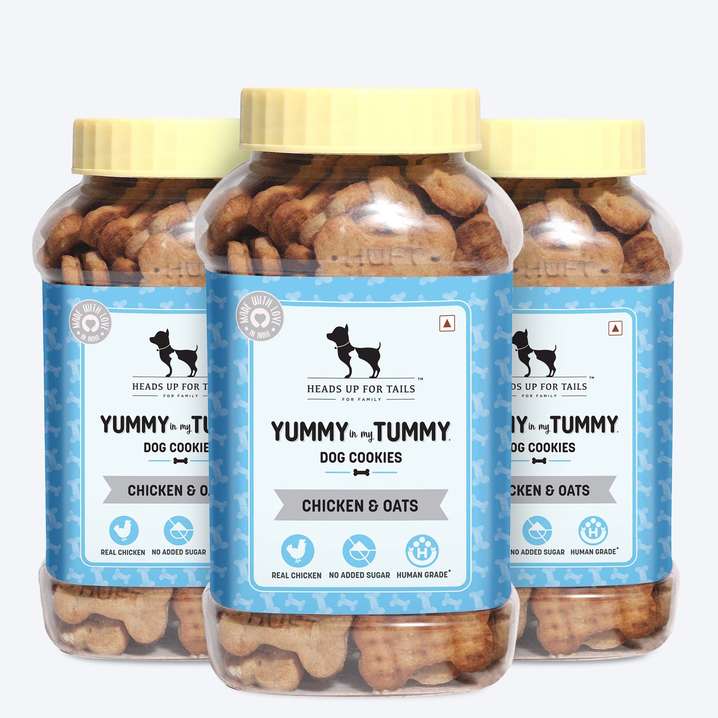 Yummy in my Tummy Chicken & Oats Dog Biscuits 320gm