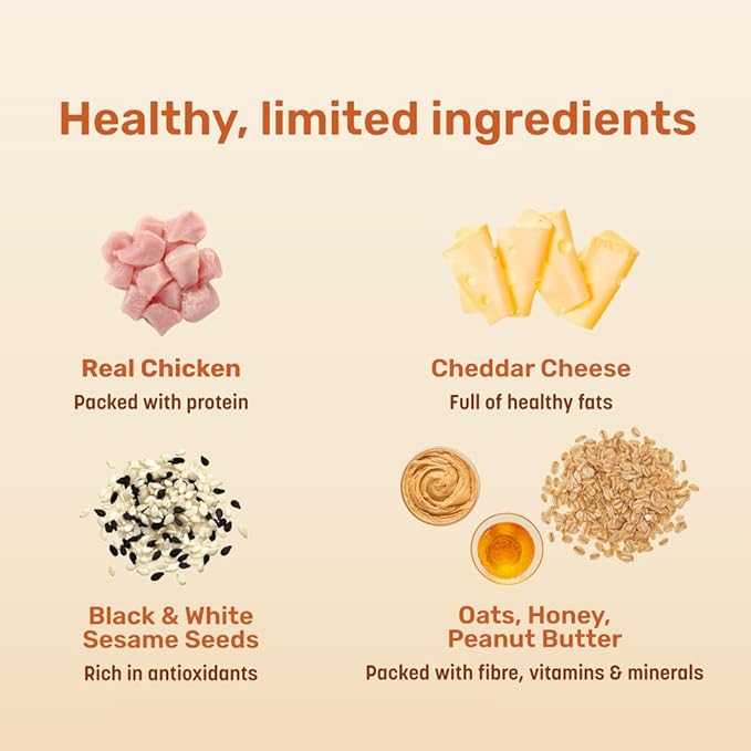 Healthy Dog Biscuit | Biscuits for Adult Dogs & Puppies | Chicken Biscuits, Protein-Rich & Gluten-Free | No Artificial Preservatives