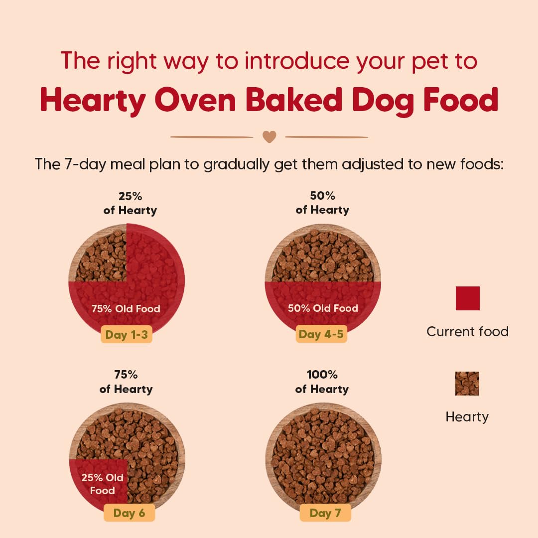 Hearty by HUFT Adult Dry Dog Food | Oven-Baked Chicken & Duck with Brown Rice All Breeds | Complete & Balanced Food for Adult Dogs | No Corn, Soy, GMO or Added Flavours