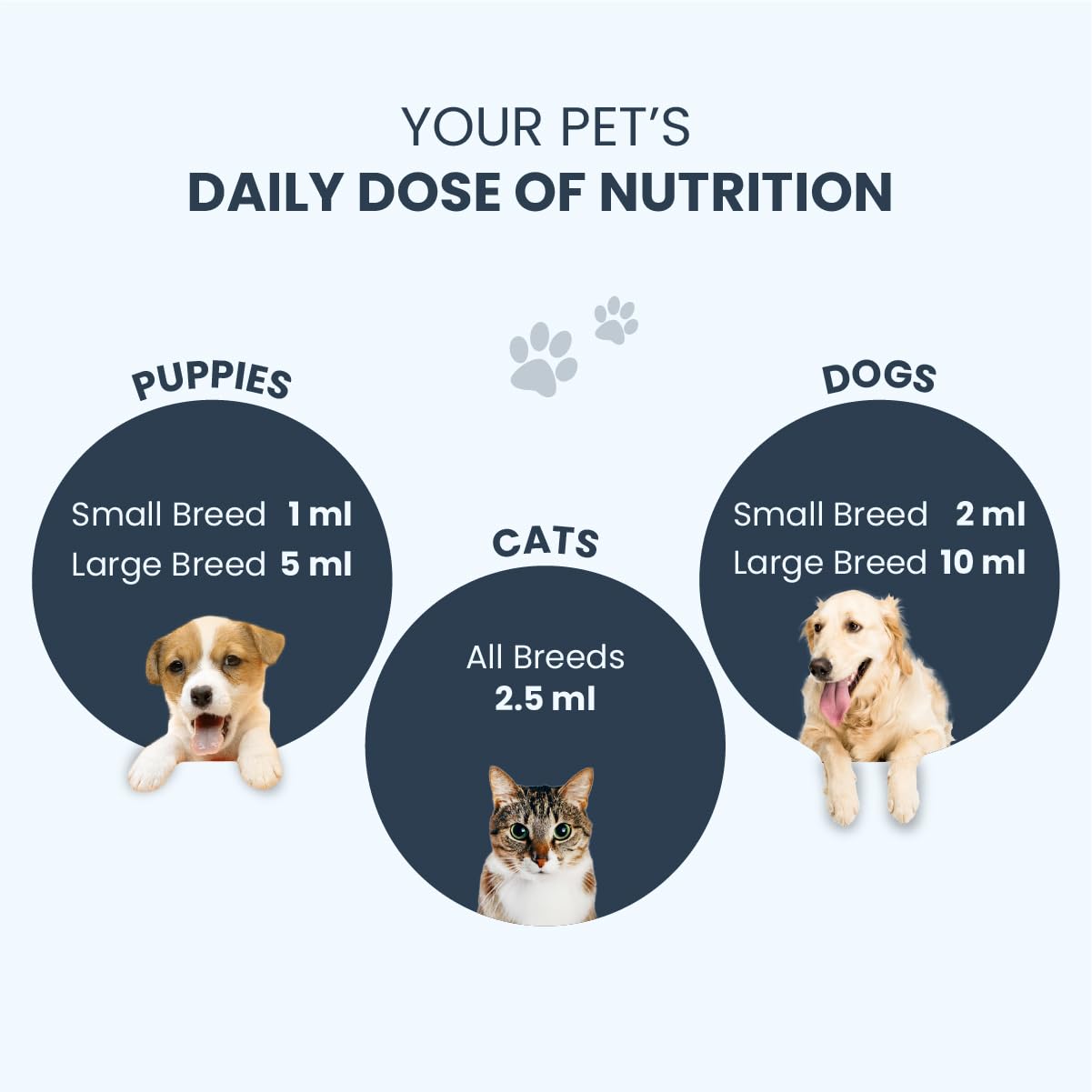 FUR BALL STORY Supertonic Pet Supplement 200ml | Ayurvedic Tonic for Dogs & Cats | Head to Tail Wellness | Boosts Immunity, Supports Kidney, Liver, Gut, Brain & Organ Functions | Vet Recommended