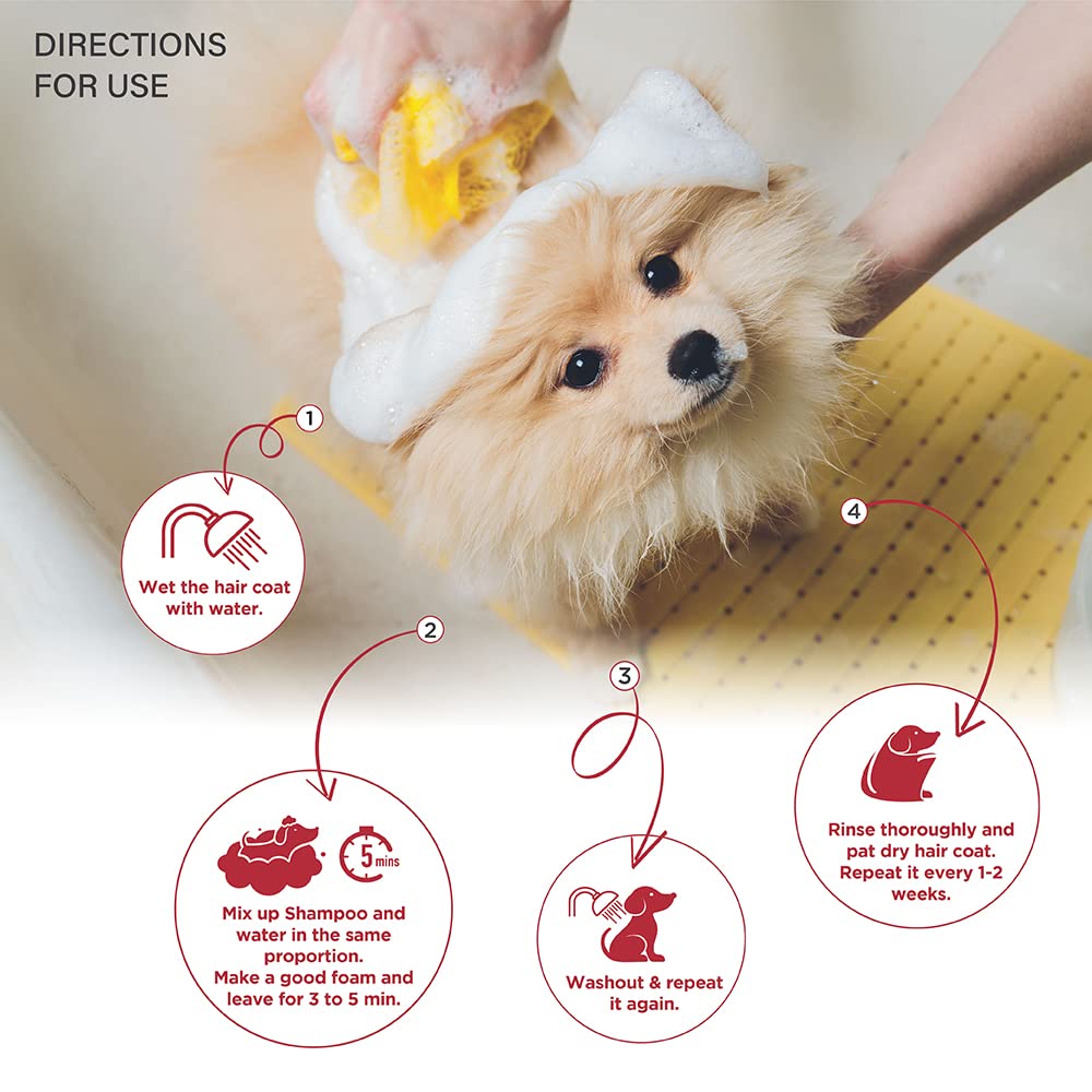 Lozalo Floral Aromatherapy Pet Conditioning Shampoo