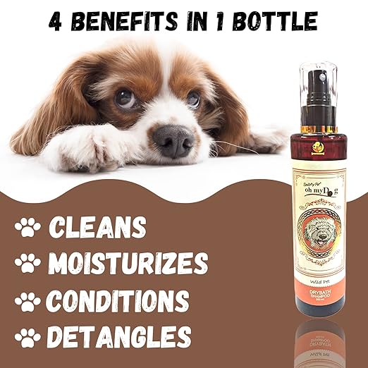 Oh My Dog DryBath Shampoo for Dogs, Puppies, Cats and Kittens - (Wild Pet, 200ml) | Water Free Bath for All Coat Types with Tea Tree Oil, Jojoba Oil, and Aloe Vera for Soft Smooth Fur