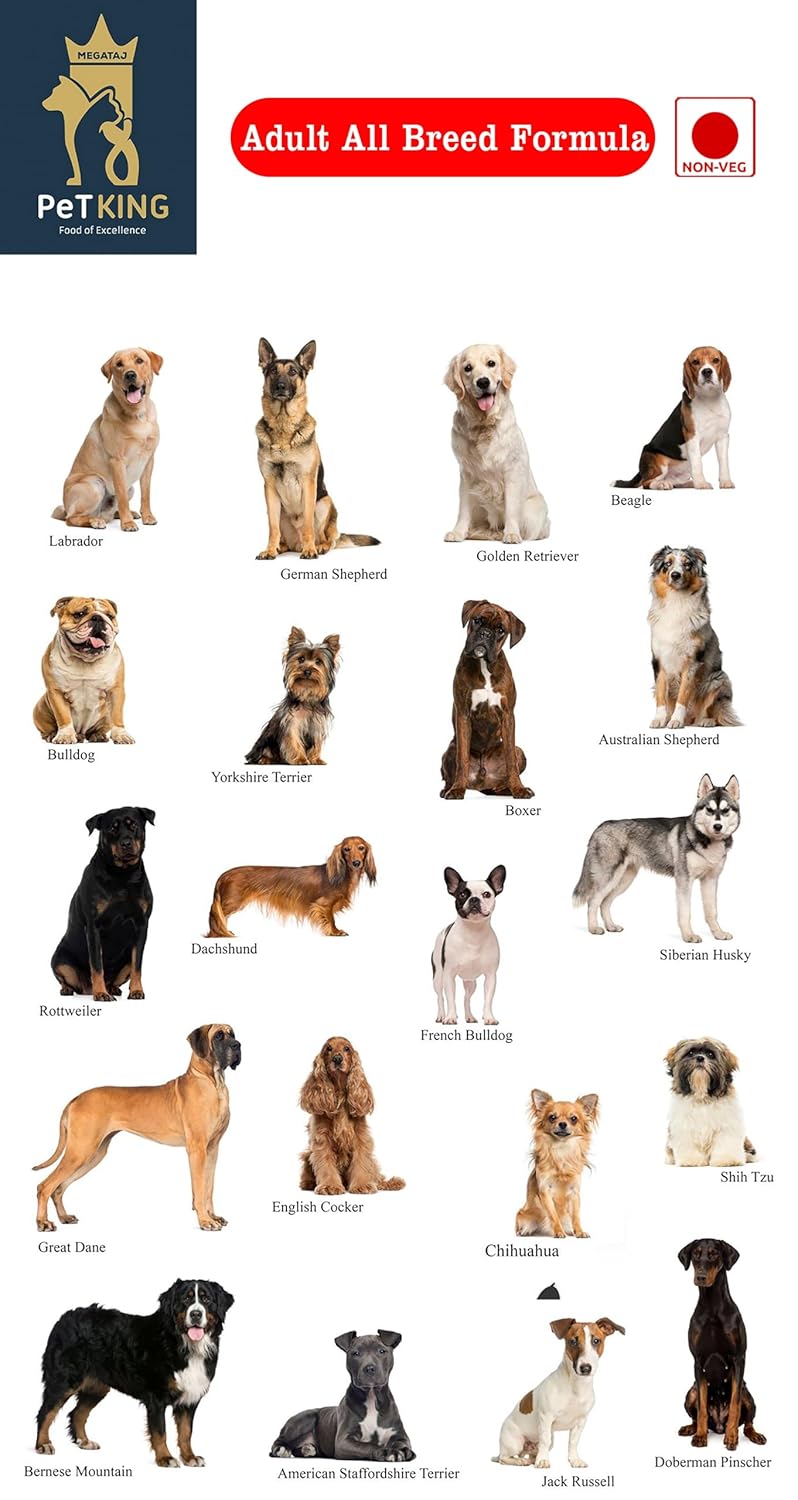 PeTKING Adult Dog Food | Italian Formula Chicken Rice and Fish Flavour All Breed Premium Pet Food Complete Balanced Diet Rich in Protein Antioxidants Fibre Prebiotics