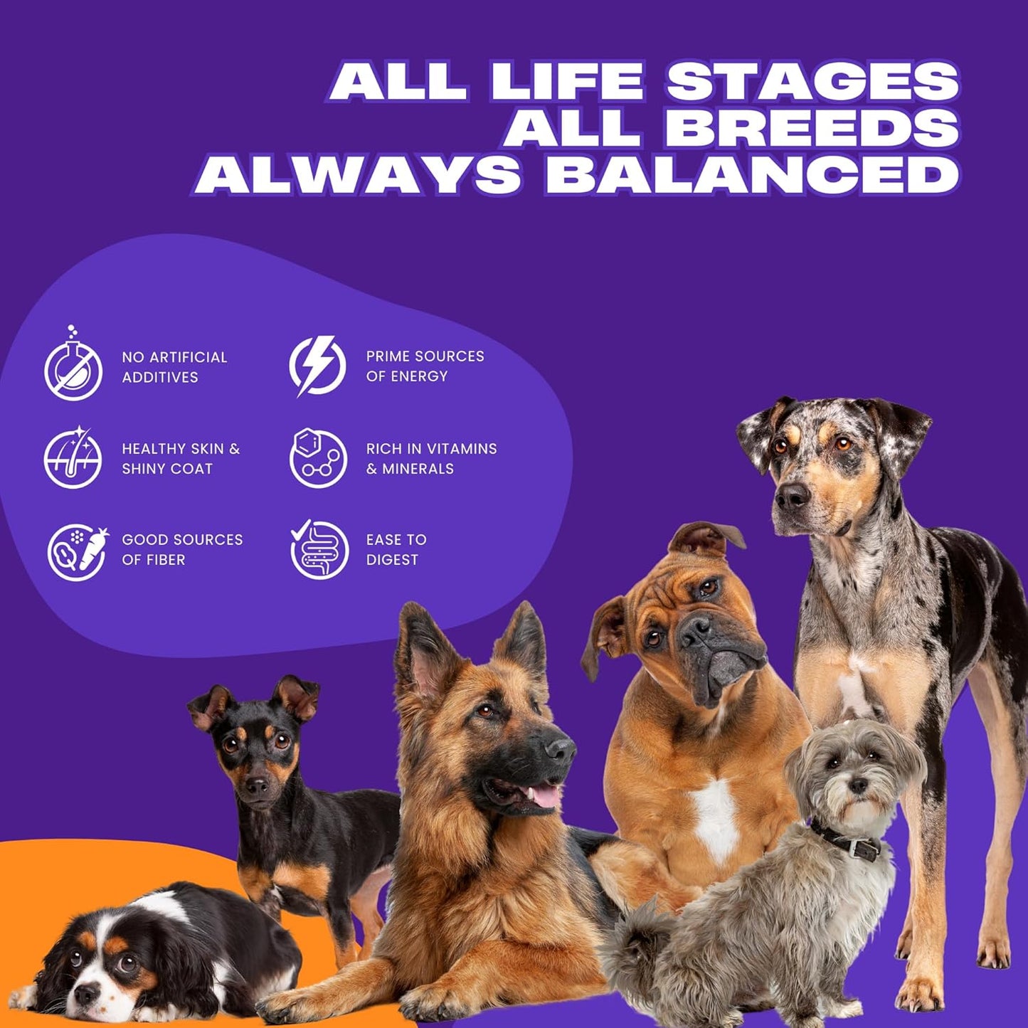 Hungertail Daily Munch Dry Dog Food, 20 kg, All Life Stages, Non-GMO, Low Temperature Baked, Made in India