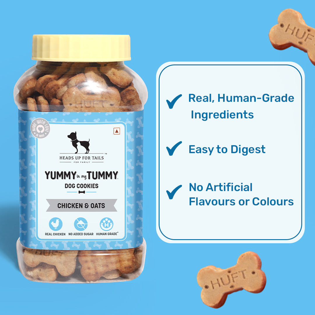 Yummy in my Tummy Chicken & Oats Dog Biscuits 320gm
