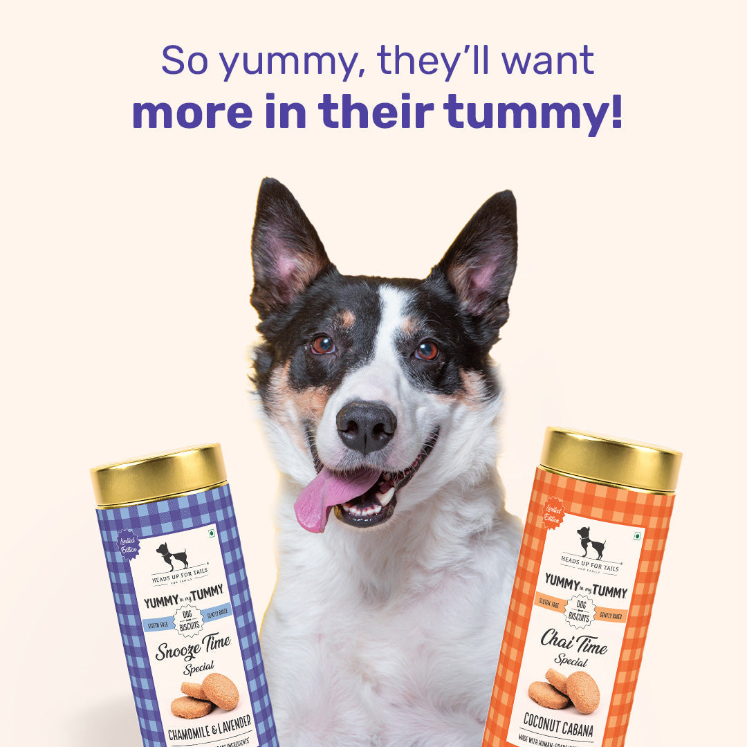 HUFT YIMT Snooze Time Special Chamomile & Lavender Dog Biscuits - 200 gm