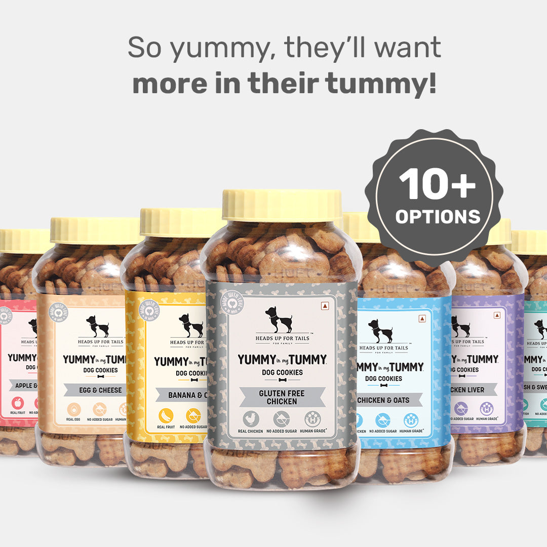 Yummy in my Tummy Real Chicken Dog Biscuits - Gluten Free