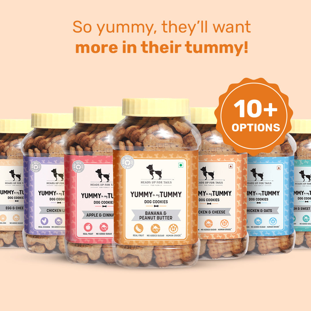 Yummy in my Tummy Banana & Peanut Butter Dog Biscuits