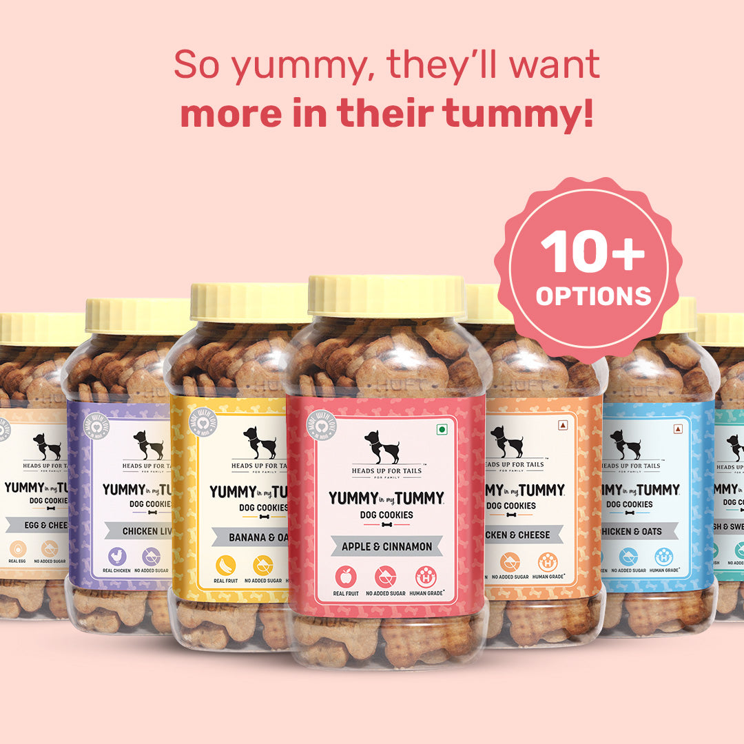 Yummy in my Tummy Apple & Cinnamon Vegetarian Dog Biscuits 320 gm