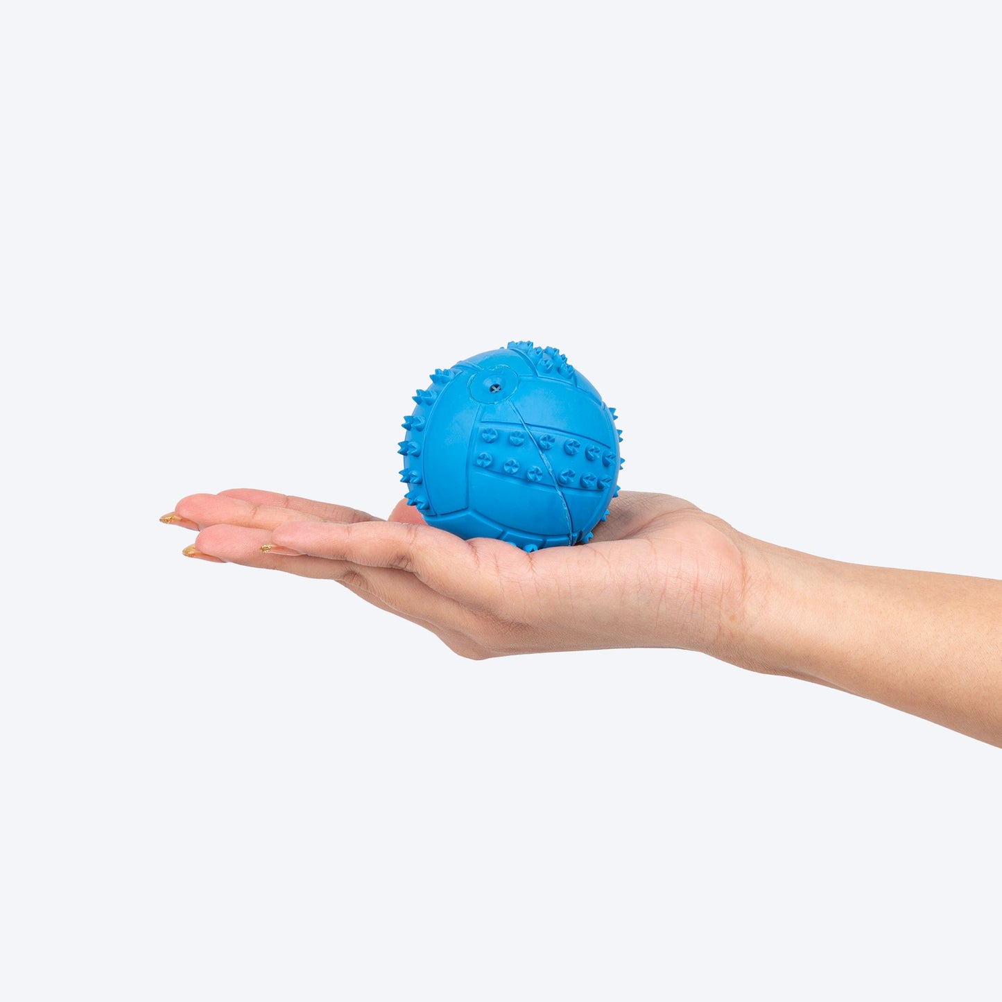 Textured Ball Squeaky Chew Toy For Dog - Blue
