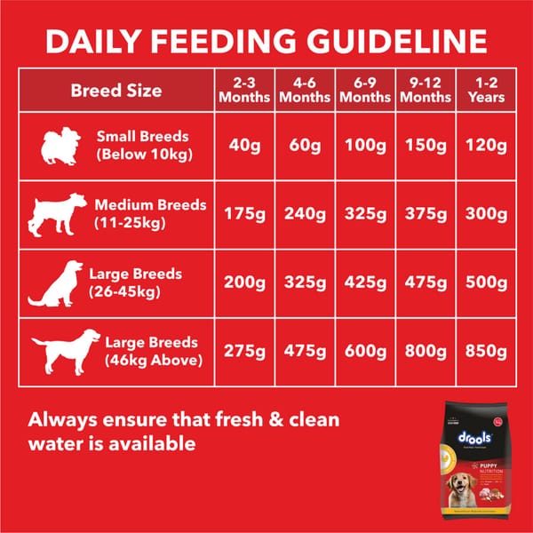 Drools Chicken and Egg Puppy Dog Dry Food