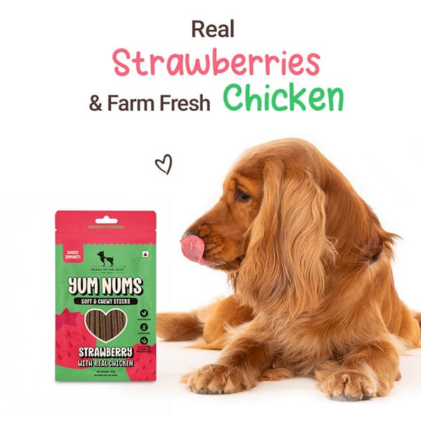 HUFT Yum Nums Soft and Chewy Strawberry with Real Chicken Grain Free Sticks Treats for Dogs