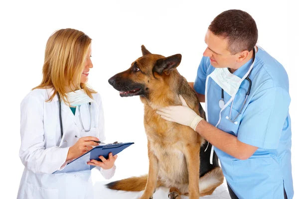 Booko Online Vet Consultation