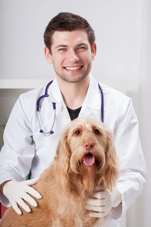 Booko Online Vet Consultation