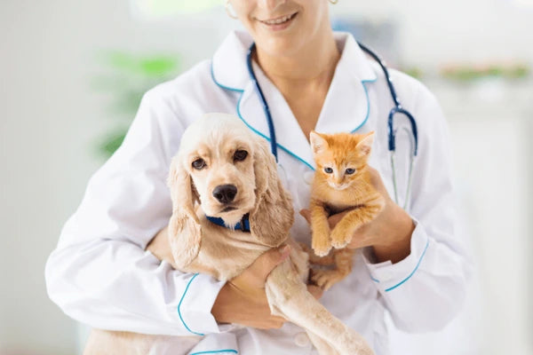 Booko Online Vet Consultation
