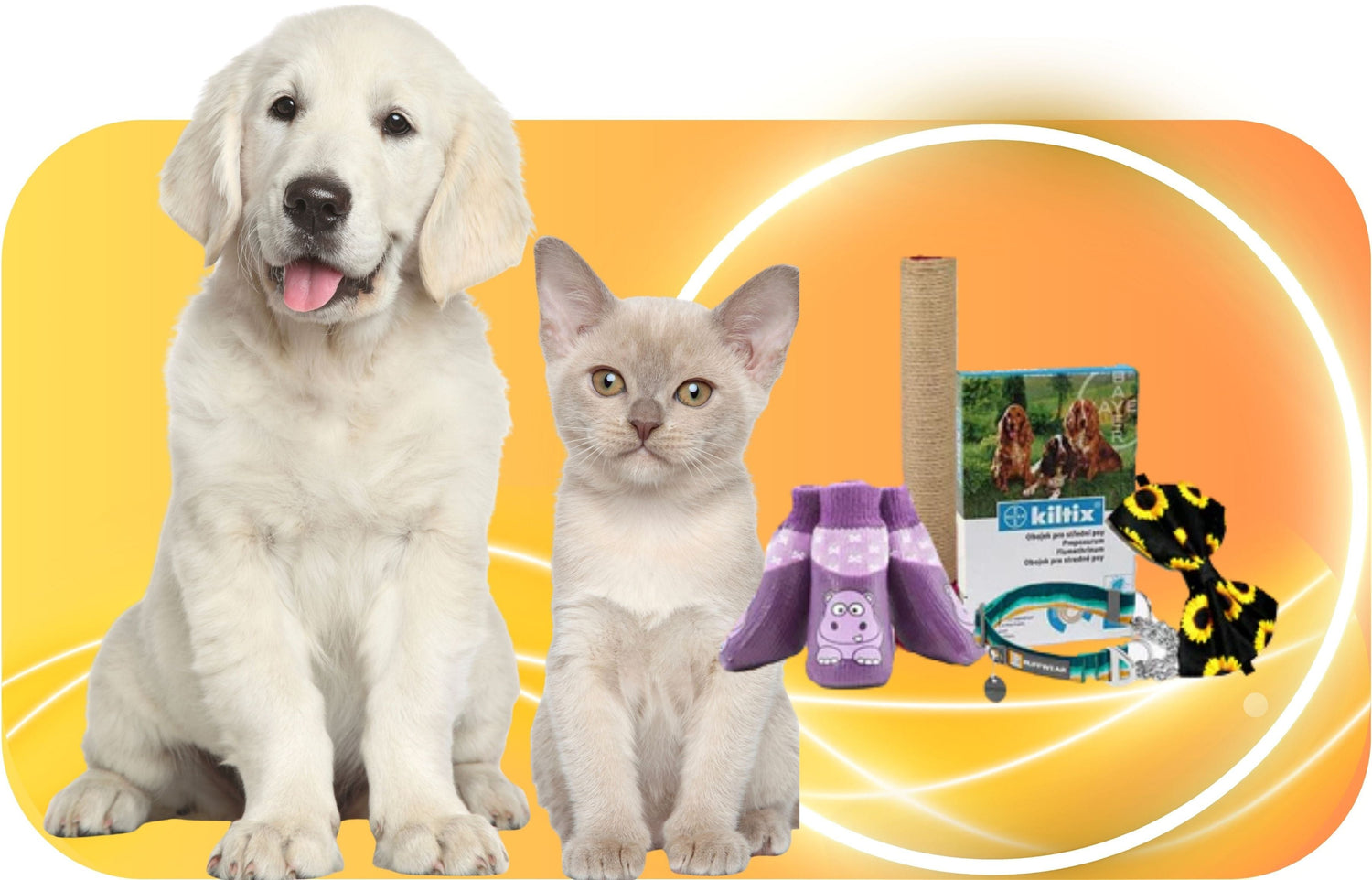 COLLAR-LEASH-HARNESS & ACCESSORIES