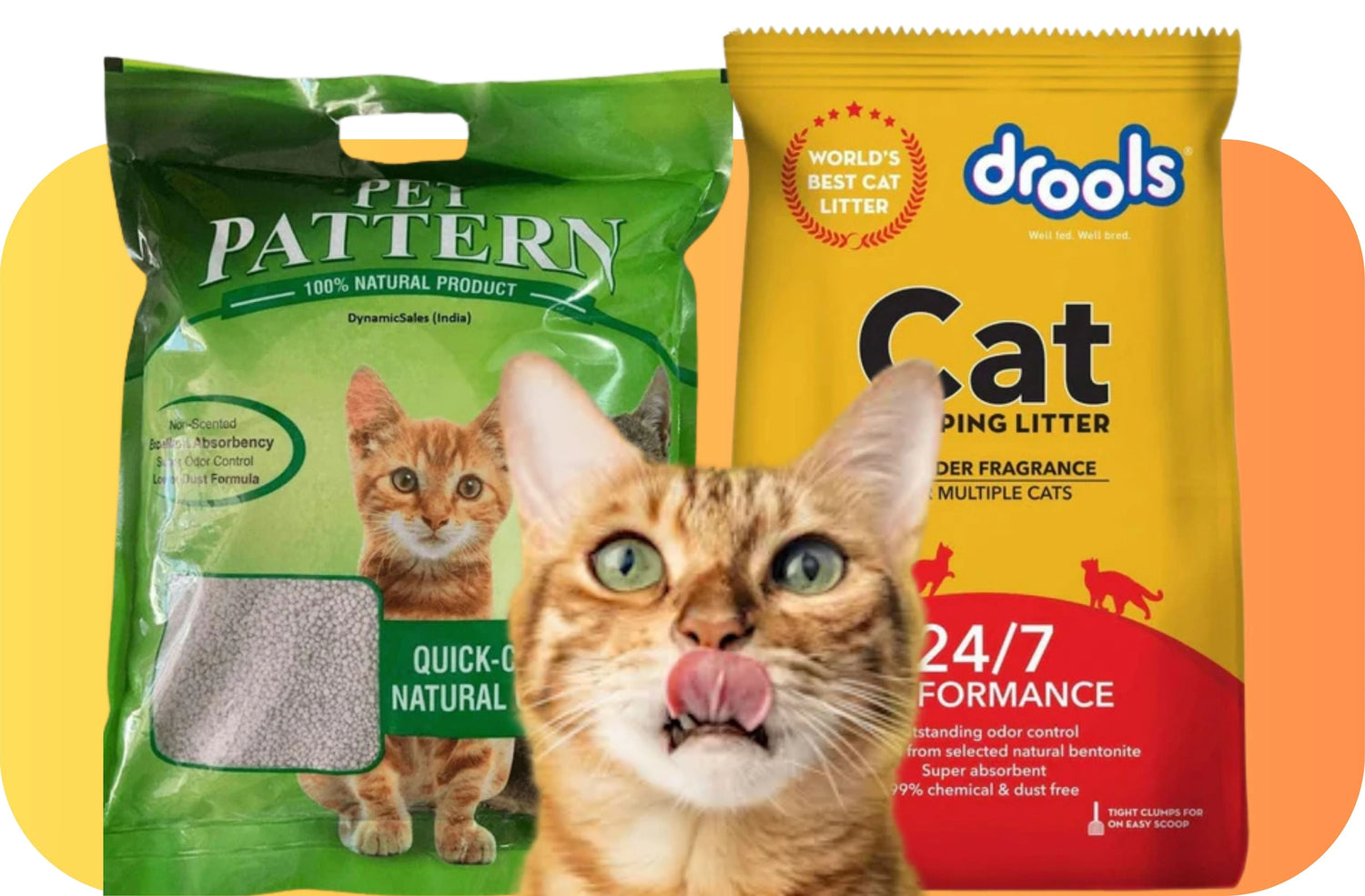 CAT LITTER