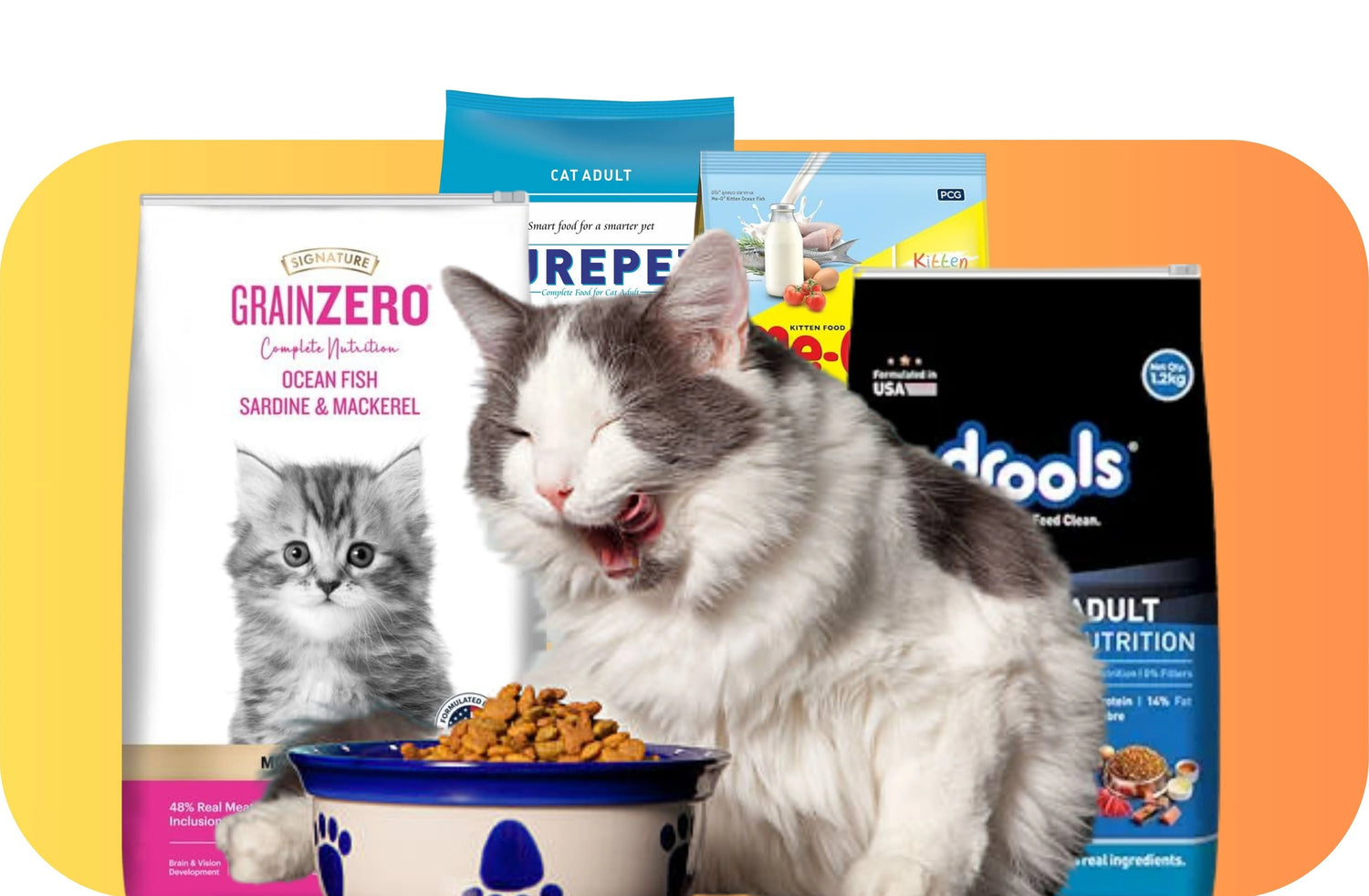 CAT FOOD