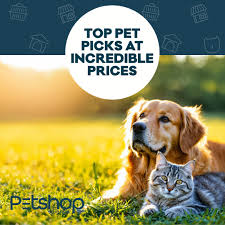 Premium Picks