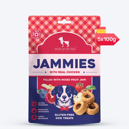 Heads Up For Tails Jammies - Chicken Filled With Mixed Fruit Jam Dog Treats - 100 g
