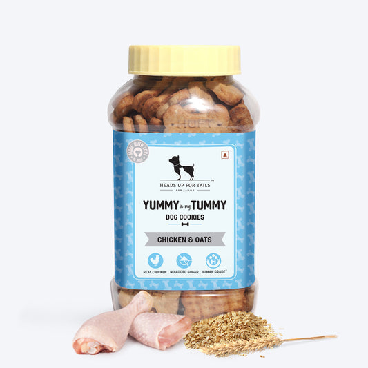 Yummy in my Tummy Chicken & Oats Dog Biscuits 320gm