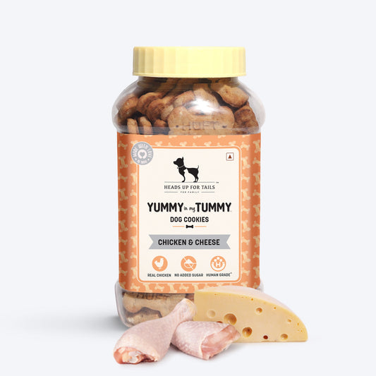 Yummy in my Tummy Chicken & Cheese Dog Biscuits