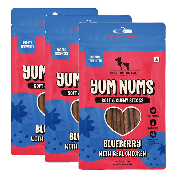 HUFT Yum Nums Blueberry with Real Chicken Soft & Chewy Sticks Dog Treats