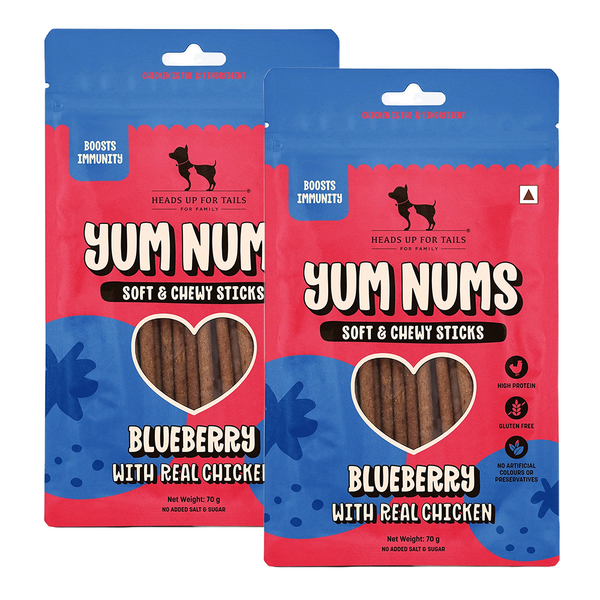 HUFT Yum Nums Blueberry with Real Chicken Soft & Chewy Sticks Dog Treats