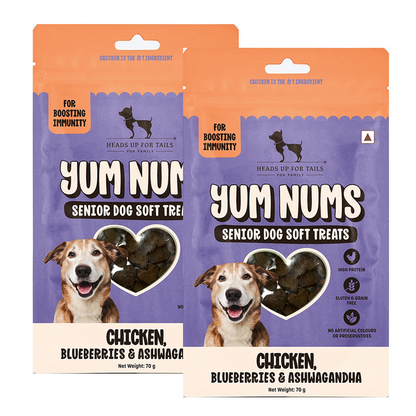 HUFT Yum Nums Grain Free Chicken, Blueberries & Ashwagandha Soft & Chewy Sticks Senior Dog Treats