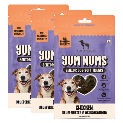 HUFT Yum Nums Grain Free Chicken, Blueberries & Ashwagandha Soft & Chewy Sticks Senior Dog Treats