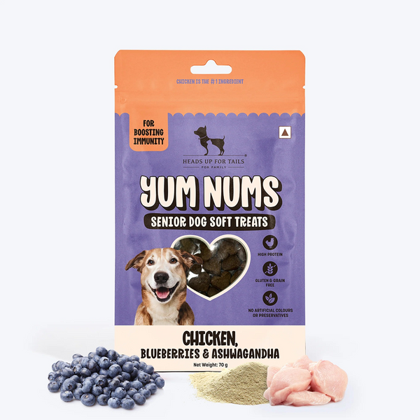 HUFT Yum Nums Grain Free Chicken, Blueberries & Ashwagandha Soft & Chewy Sticks Senior Dog Treats