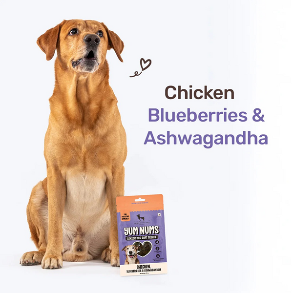 HUFT Yum Nums Grain Free Chicken, Blueberries & Ashwagandha Soft & Chewy Sticks Senior Dog Treats