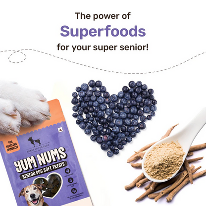 HUFT Yum Nums Grain Free Chicken, Blueberries & Ashwagandha Soft & Chewy Sticks Senior Dog Treats