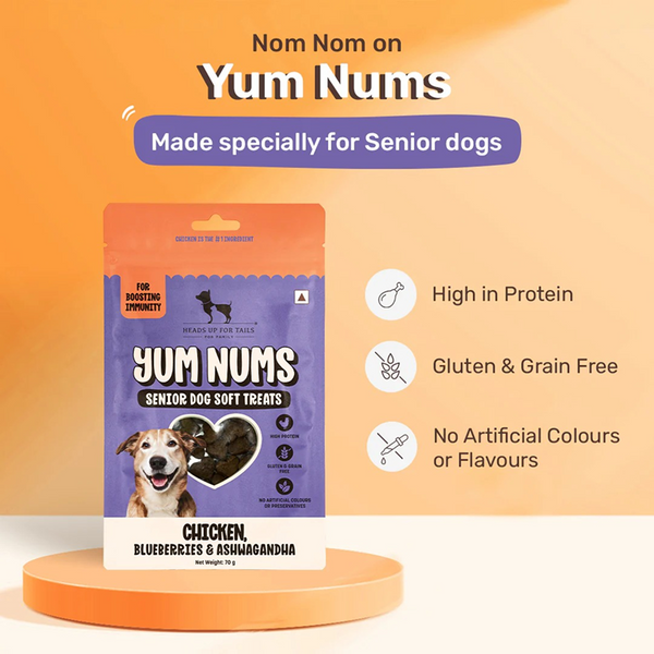HUFT Yum Nums Grain Free Chicken, Blueberries & Ashwagandha Soft & Chewy Sticks Senior Dog Treats