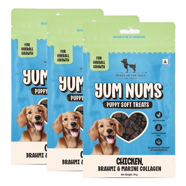 HUFT Yum Nums Chicken Brahmi and Marine Collagen Grain Free Soft Treats for Puppys