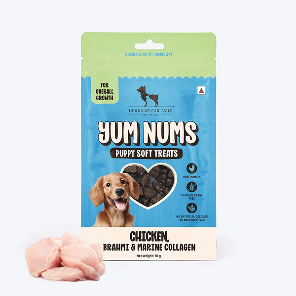 HUFT Yum Nums Chicken Brahmi and Marine Collagen Grain Free Soft Treats for Puppys