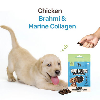 HUFT Yum Nums Chicken Brahmi and Marine Collagen Grain Free Soft Treats for Puppys