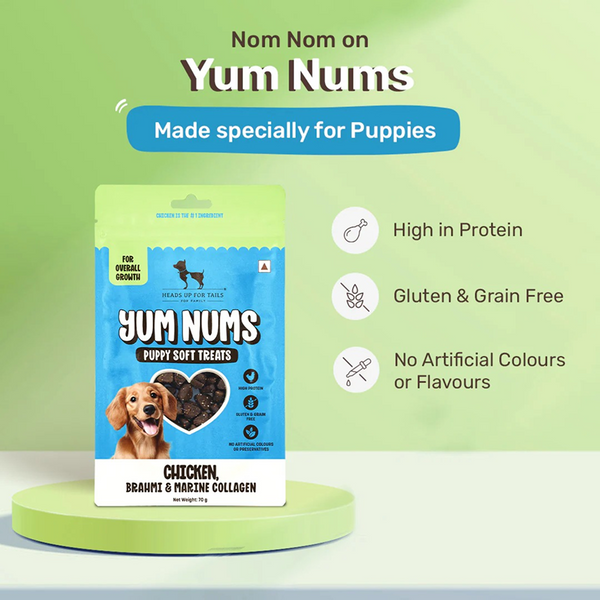 HUFT Yum Nums Chicken Brahmi and Marine Collagen Grain Free Soft Treats for Puppys