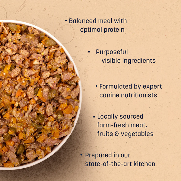 HUFT Sara's Wholesome Grain Free Chicken & Turkey Dog Wet Food