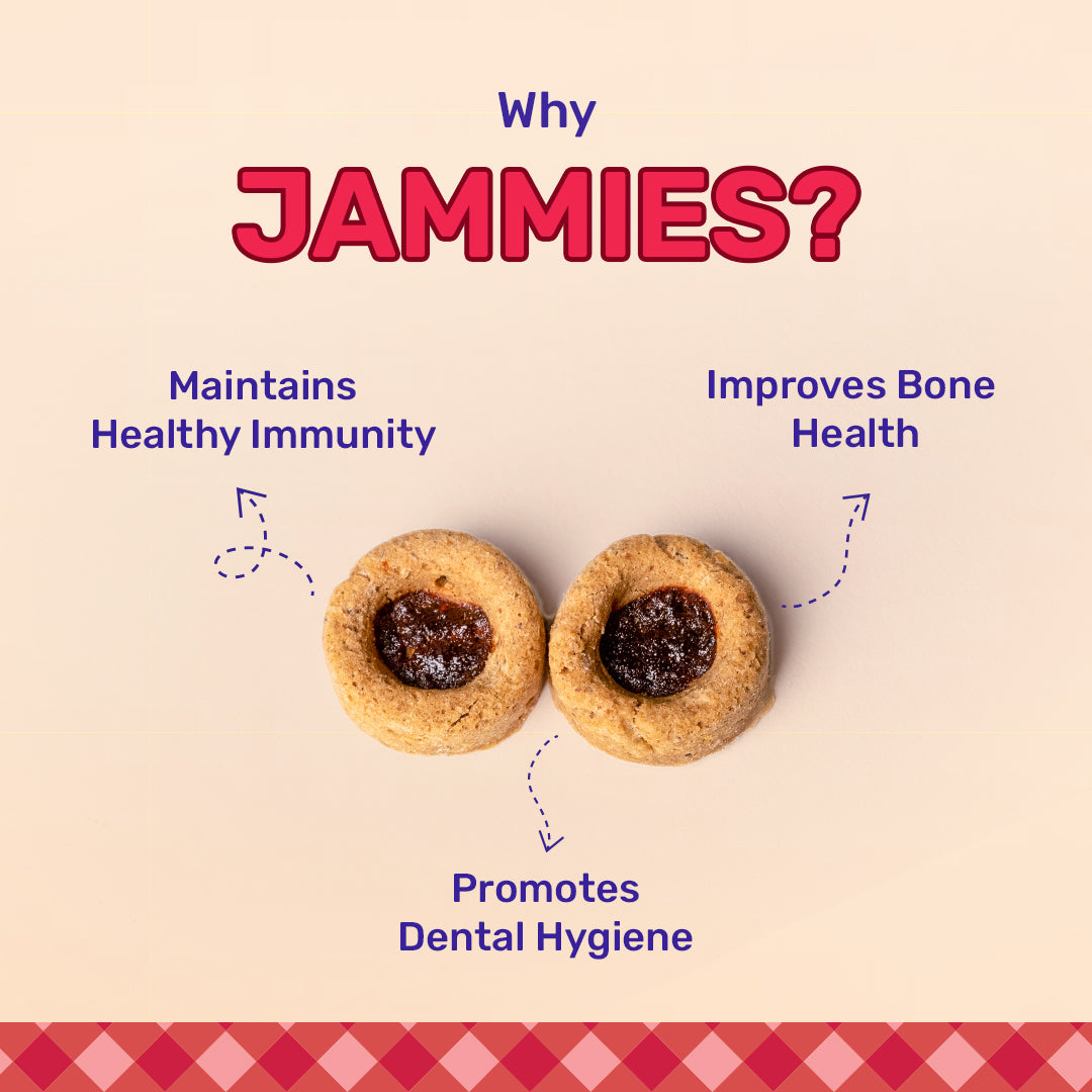 Heads Up For Tails Jammies - Chicken Filled With Mixed Fruit Jam Dog Treats - 100 g