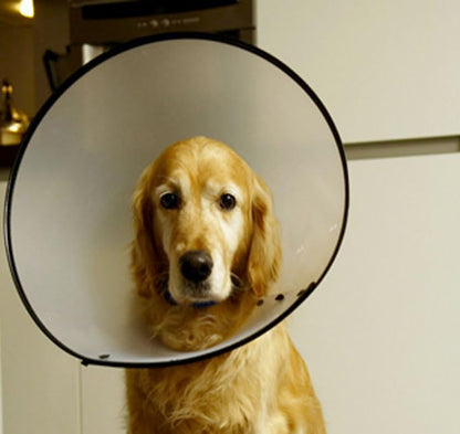 Adjustable Dog Cone - Plastic E-Collar for After Surgery, Anti-Bite Lick Wound Healing Safety Pet Recovery Collar