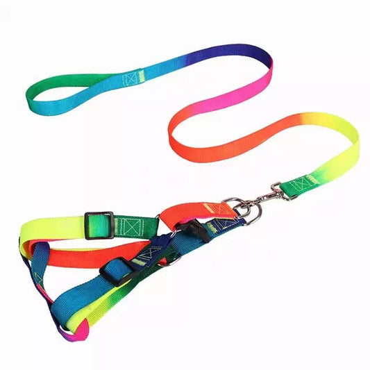 Rainbow Body Set