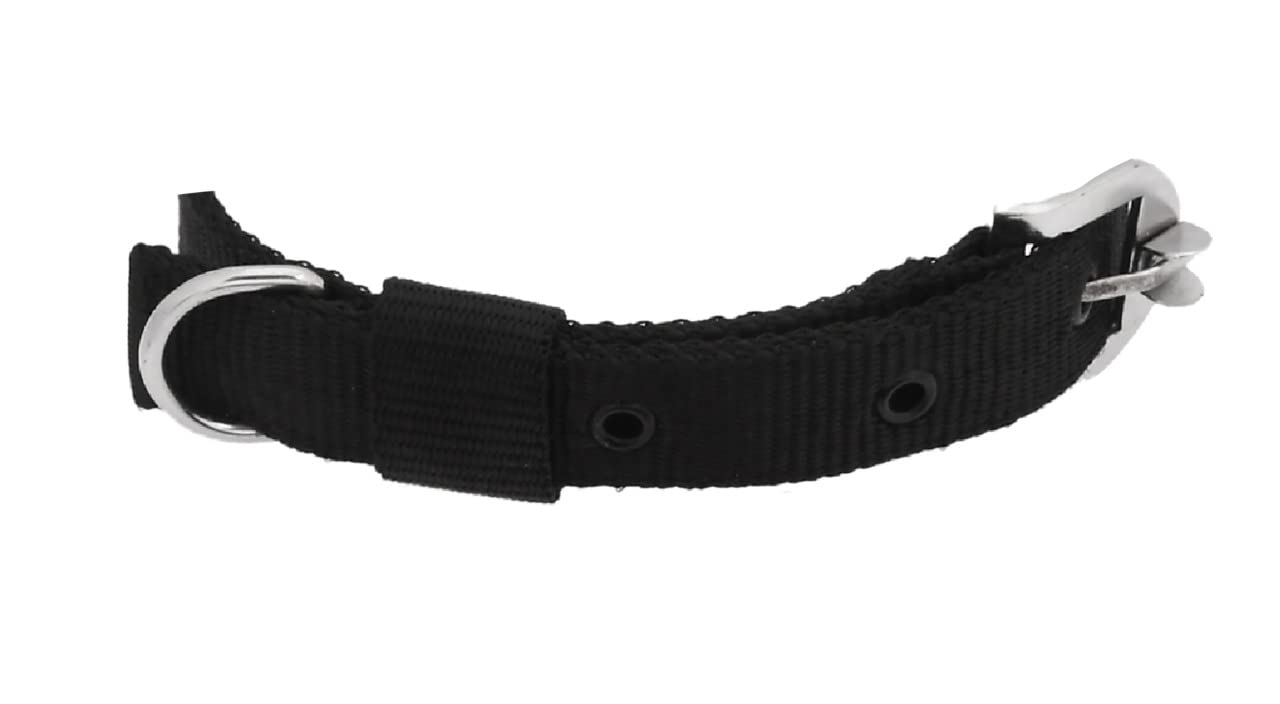 Neck Collar Belts Waterproof,  Collar for Small and Medium Dogs