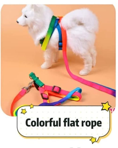 Rainbow Body Set
