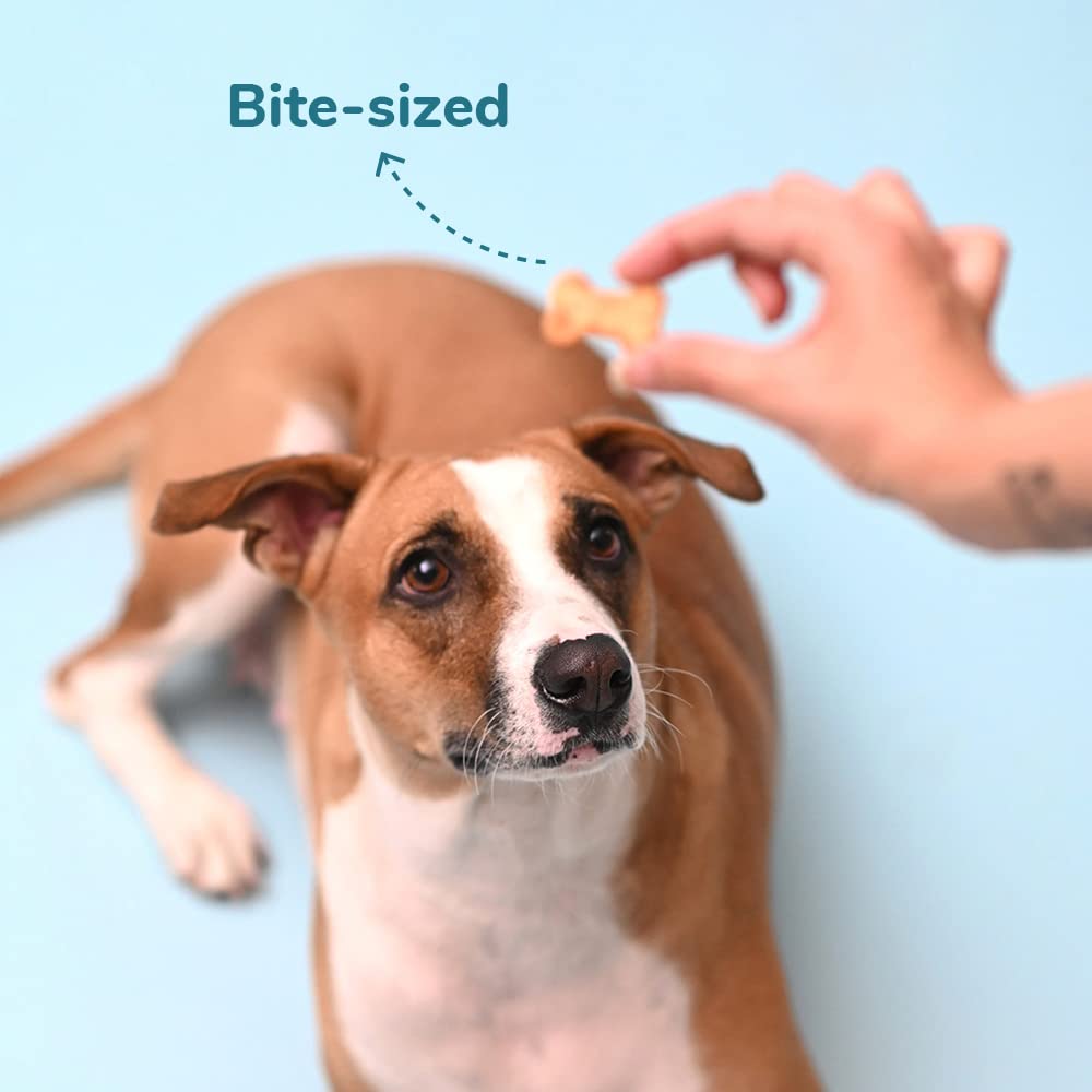 PUREPET Dog Treat Biscuits, All Life Stages 455g Jar