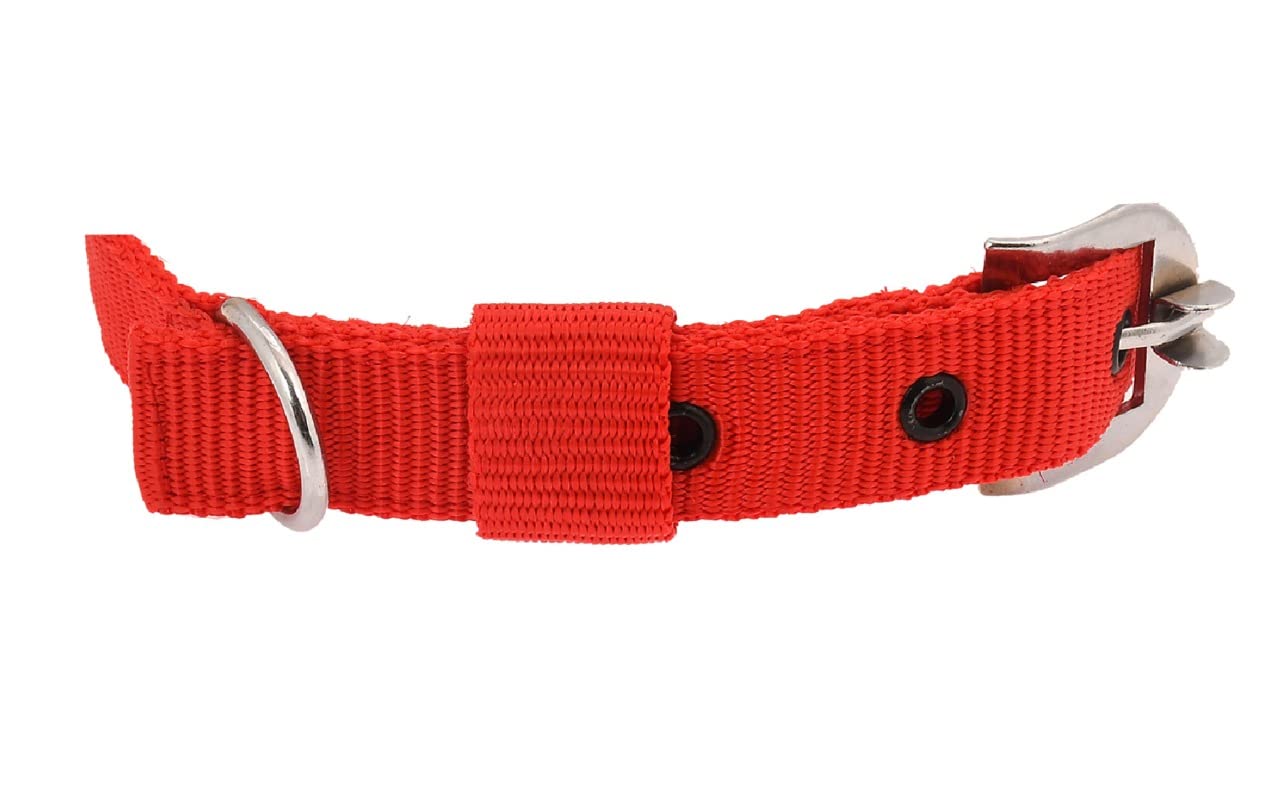 Neck Collar Belts Waterproof,  Collar for Small and Medium Dogs