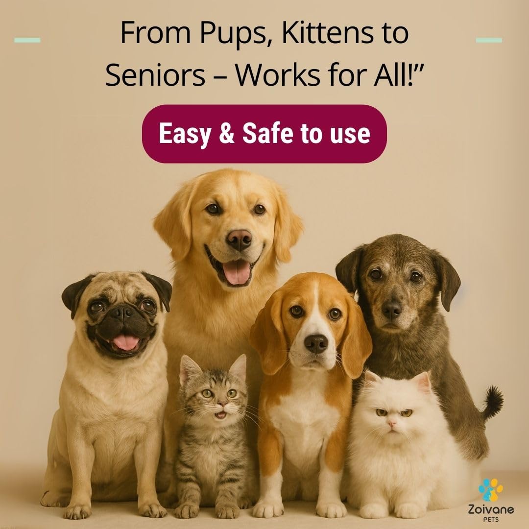 ZOIVANE Dog Potty Training Spray (200ml) | Indoor Use | Effective Training Aid for Puppies | Pet Poop Spray No More Marking