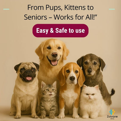 ZOIVANE Dog Potty Training Spray (200ml) | Indoor Use | Effective Training Aid for Puppies | Pet Poop Spray No More Marking