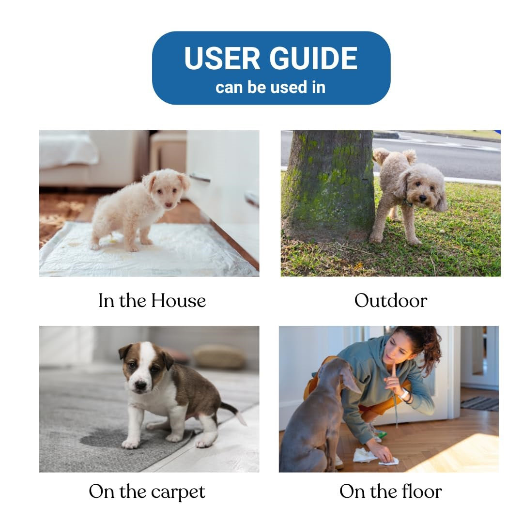 Absorption Training Pads for Dogs & Puppies  | Super Absorbent, Leak-Proof, Quick-Dry