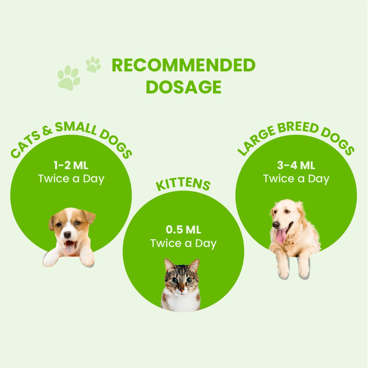 FUR BALL STORY Pacho Pet Digestive Syrup for Dogs & Cats  | Ayurvedic Pet Digestive Medicine | Relieves Indigestion, Promotes Gut Health